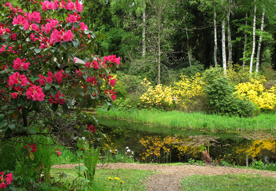 Im Rhododendron-Park