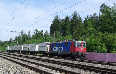 Kühlwagen-Güterzug