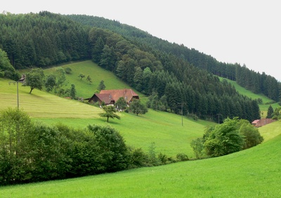 Schwarzwaldidyll