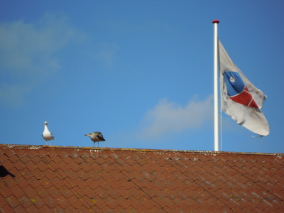Vögel auf dem Hausdach