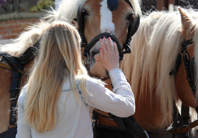 Mädchen und Pferde