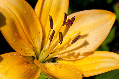 Auf Regen folgt Sonne (1) Auf Regen folgt Sonne (1)
