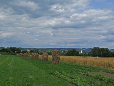 Oberösterreich: Flachgauer Felder