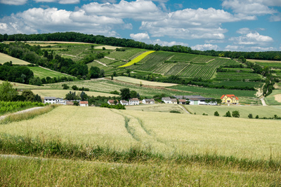 Weites Land  Weinviertel bei Puch