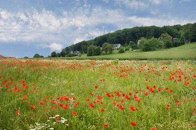Rote Tupfer (Gemälde) Rote Tupfer (Gemälde)