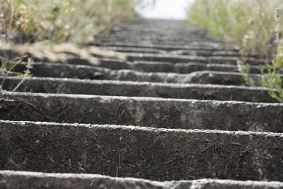 Treppe am Rheindamm