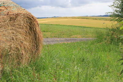 Dänische Bauern-Landschaft