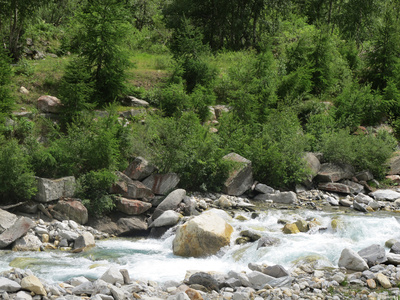 Wild-romantischer Ticino