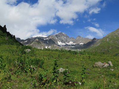 Alpweide und Alplikopf (2634 m)