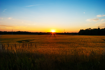 Ein Hauch von Gold Ein Hauch von Gold