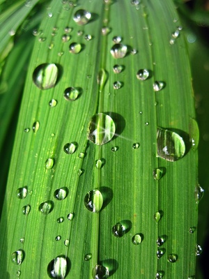 ...nach dem Regen...