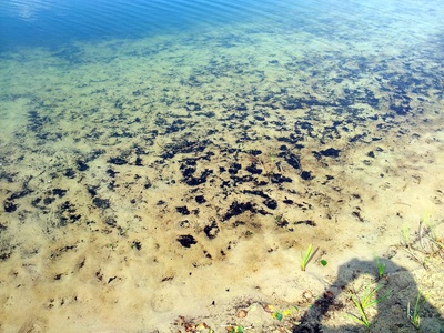 Unter Wasser am Ellisee in Achim