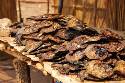 Getrocknete Plattfische auf dem Markt, Malawi, Afrika