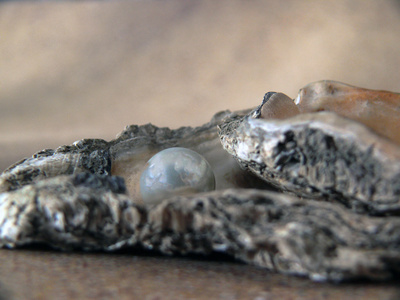 Nur eine verletzte Auster bringt eine Perle hervor ..