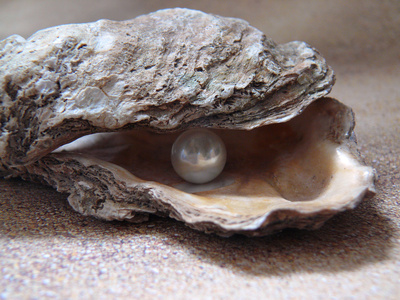 Nur eine verletzte Auster bringt eine Perle hervor ....