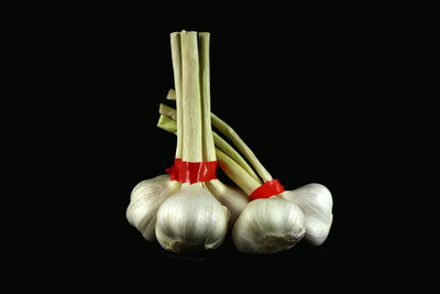 Knoblauch 34