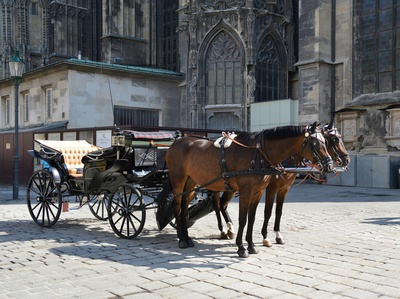 Fiaker in Wien am Stephansdom