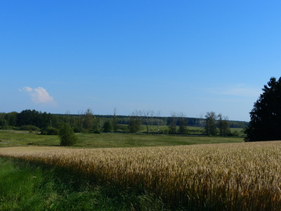 Peeneblick