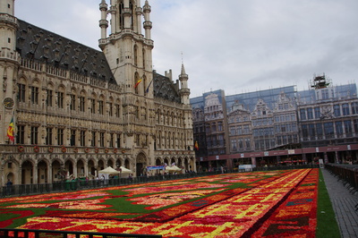 Blumenteppich 2014 in Brüssel