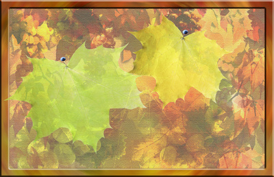 Pinnwand Herbst Ahorn