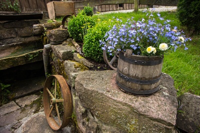 Blumen-Stillleben an der alten Mühle