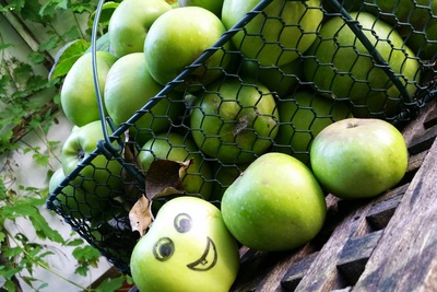 Grüner Apfel - freundliche Vitamine