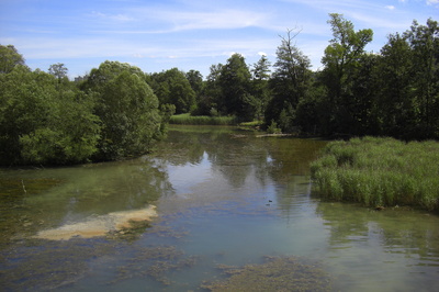 Naturreservat Wohlensee