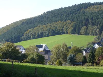 Im Sauerland Natur