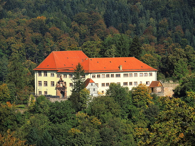 Schloss Neuenbürg