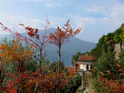 Herbst-Zauber