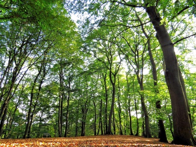 Stiller Spätsommer