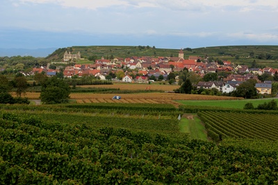 Blick auf Burkheim am Kaiserstuhl