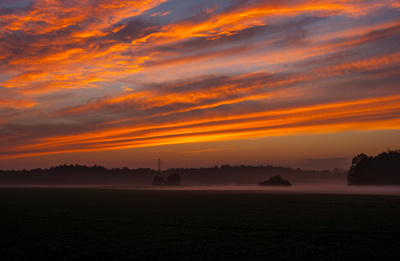 Bodennebel (1) Bodennebel (1)