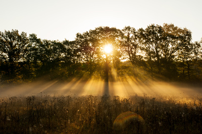 Kraft der Sonne (1) Kraft der Sonne (1)