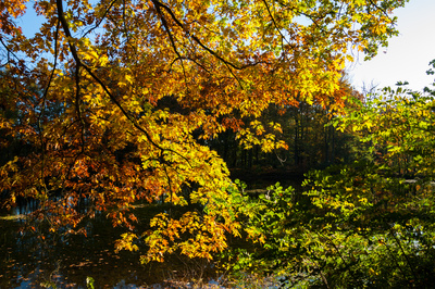 Herbst am See (3) Herbst am See (3)