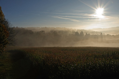 am frühen Morgen am frühen Morgen