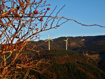 Windräder im Schwarzwald