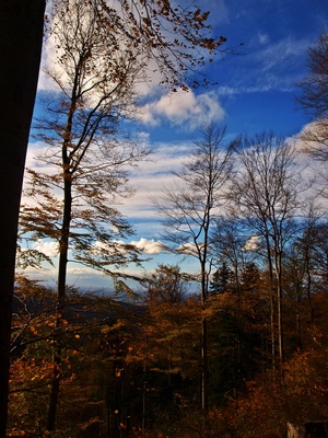 Herbstwald und Wolkenspiel