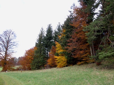 Herbstliche Farbkontraste