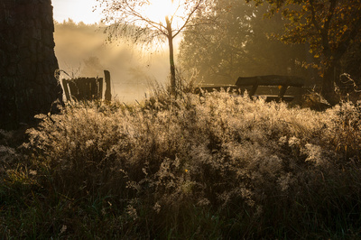 Leuchtender Morgentau Leuchtender Morgentau