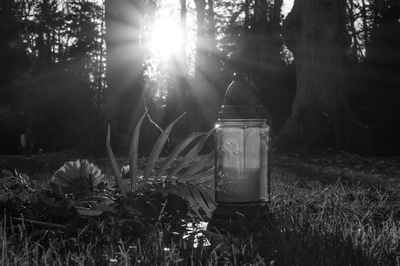Ein Licht.... (SW) Ein Licht.... (SW)