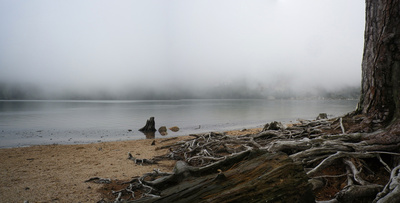 Nebel auf dem See