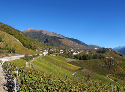 Weinbau-Dorf Salgesch
