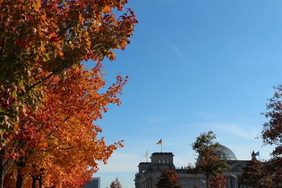 Reichstag im Herbst 4