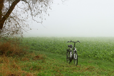 tour durch den nebel 2