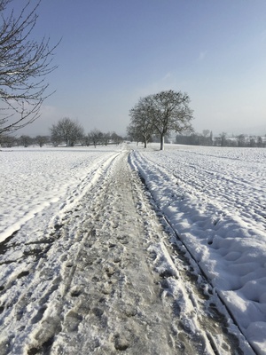 Weg - Winterweg