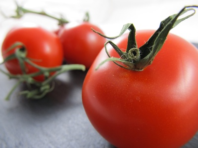 Tomaten (Seitenaufnahme)