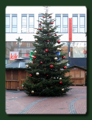 Weihnachtsbaum in Elmshorn