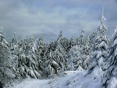 WinterLandschaft .