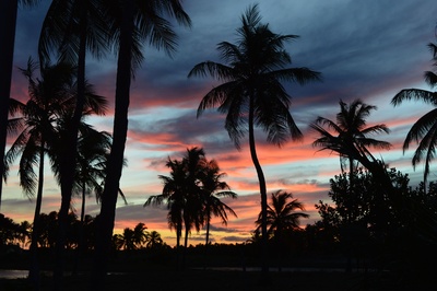 Sonnenuntergang im Gegenlicht mit Abendrot unter Palmen